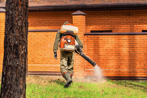 Trusted Ant Control service in Seaside Park, NJ - Nex Pest Control
